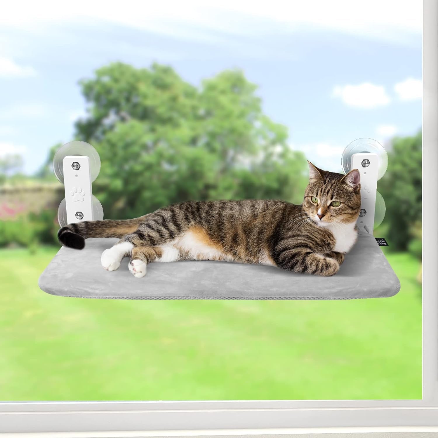 Cat Window Hammock Perch Cordless Perches Window Sill Seat Bed Foldable Stable Lounger Upgraded Suction Cup Easy Assembly Indoor Cats Kitty Shelf Hold up to 55Lbs (Grey, M)