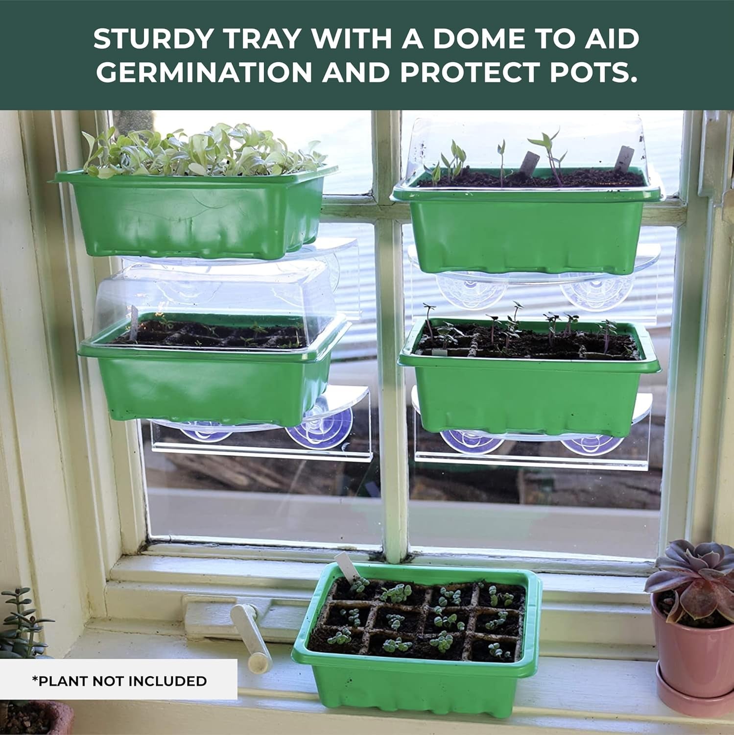 Biodegradable Seed Starter Kit (5 Pack)- Eco Friendly Recycled Paper Pulp Plant Pots, Plant Trays, Humidity Dome and Fiber Potting Soil, Herb Garden Kit Indoor Windowsill, Garden Gift