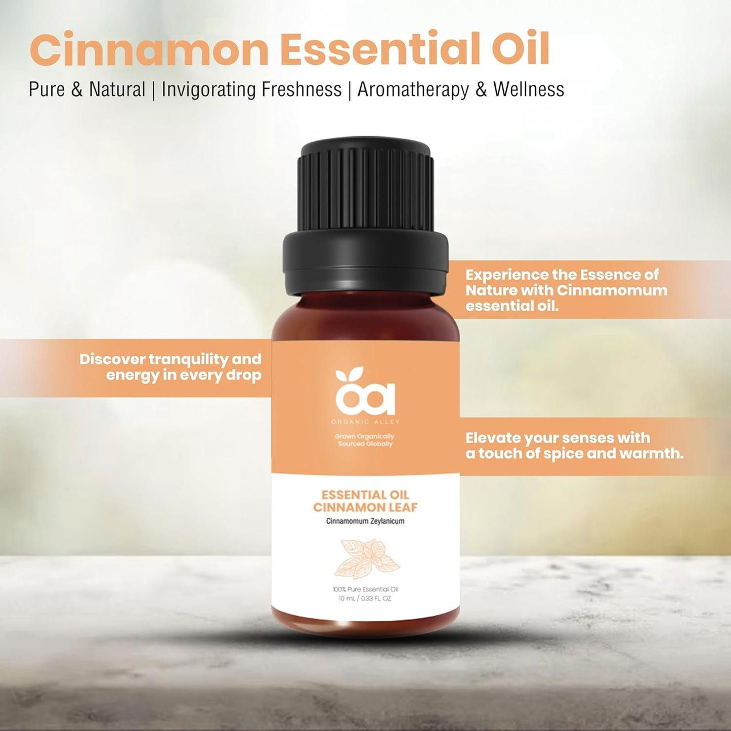Cinnamon Leaf Essential Oil by  | 100% Pure & Natural Cinnamomum Verum Essential Oil | Perfect for Aromatherapy & Home Fragrance (0.33 Fl Oz, Cinnamon Leaf) TLBH