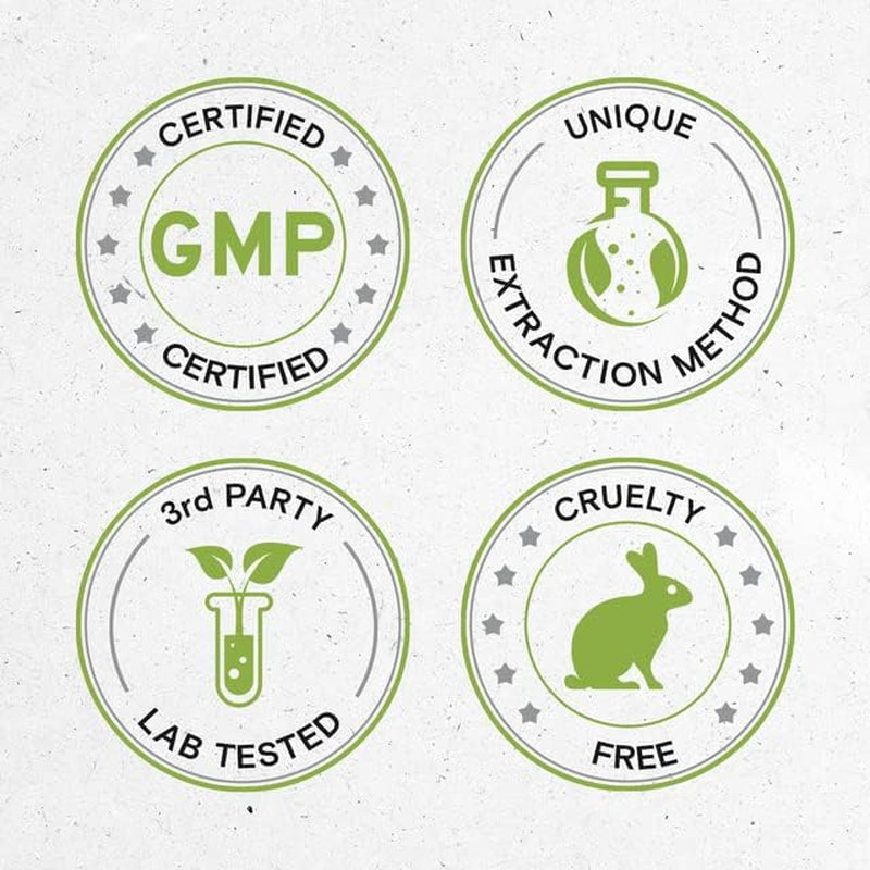 Milk Thistle 60 Capsules, Made with Vegetable Capsules and Milk Thistle Silybum Marianum (60 Capsules) TLBH