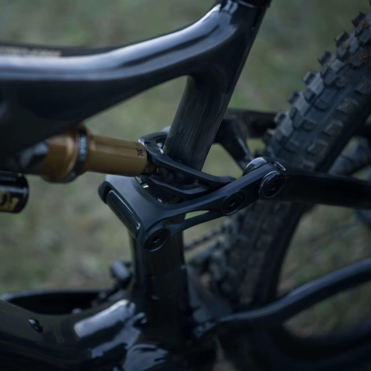 Amflow E Bike Amflow Pl800 Carbon 800 Wh - L Equipped with Djl Aviox 508W Fast Charging Charger Amflow Dji