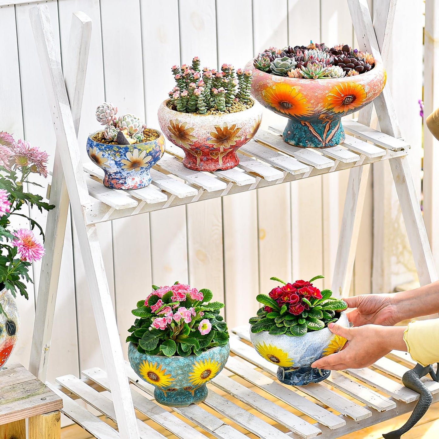 Small Succulent Planters Set of 2, Beautiful Hand Crafted Ceramic Plant Pots Cute Cactus Pot, 6.5 Inch Flower Pots for Indoor Plants with Drainage, Desktop Windowsill Home Office Decor Pots