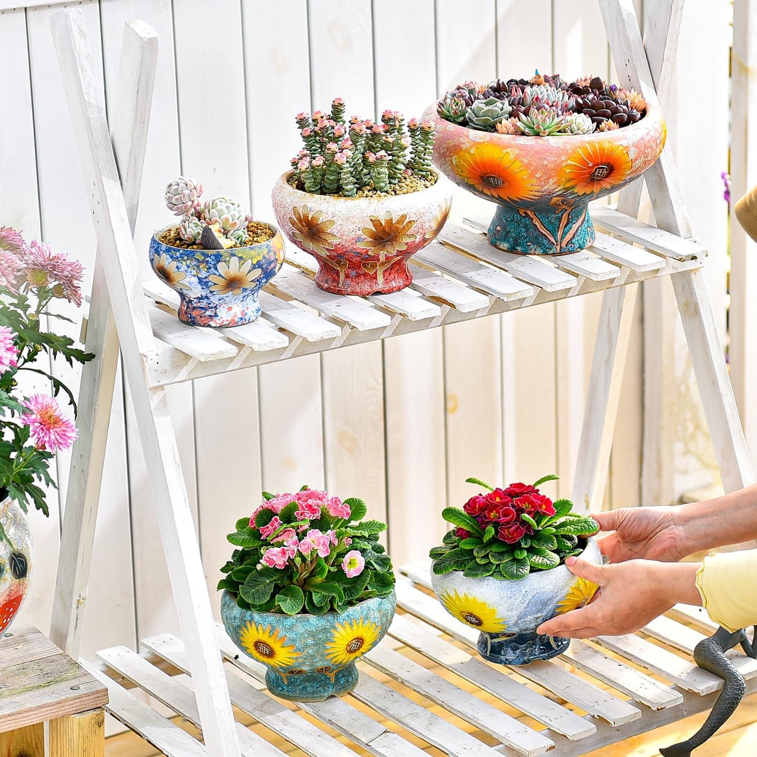 Small Succulent Planters Set of 2, Beautiful Hand Crafted Ceramic Plant Pots Cute Cactus Pot, 6.5 Inch Flower Pots for Indoor Plants with Drainage, Desktop Windowsill Home Office Decor Pots