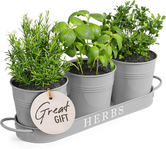 Indoor Herb Garden Planter Set with Tray, Metal Windowsill Plant Pots with Drainage for Outdoor or Indoor Plants, Set/3 (Cool Grey)