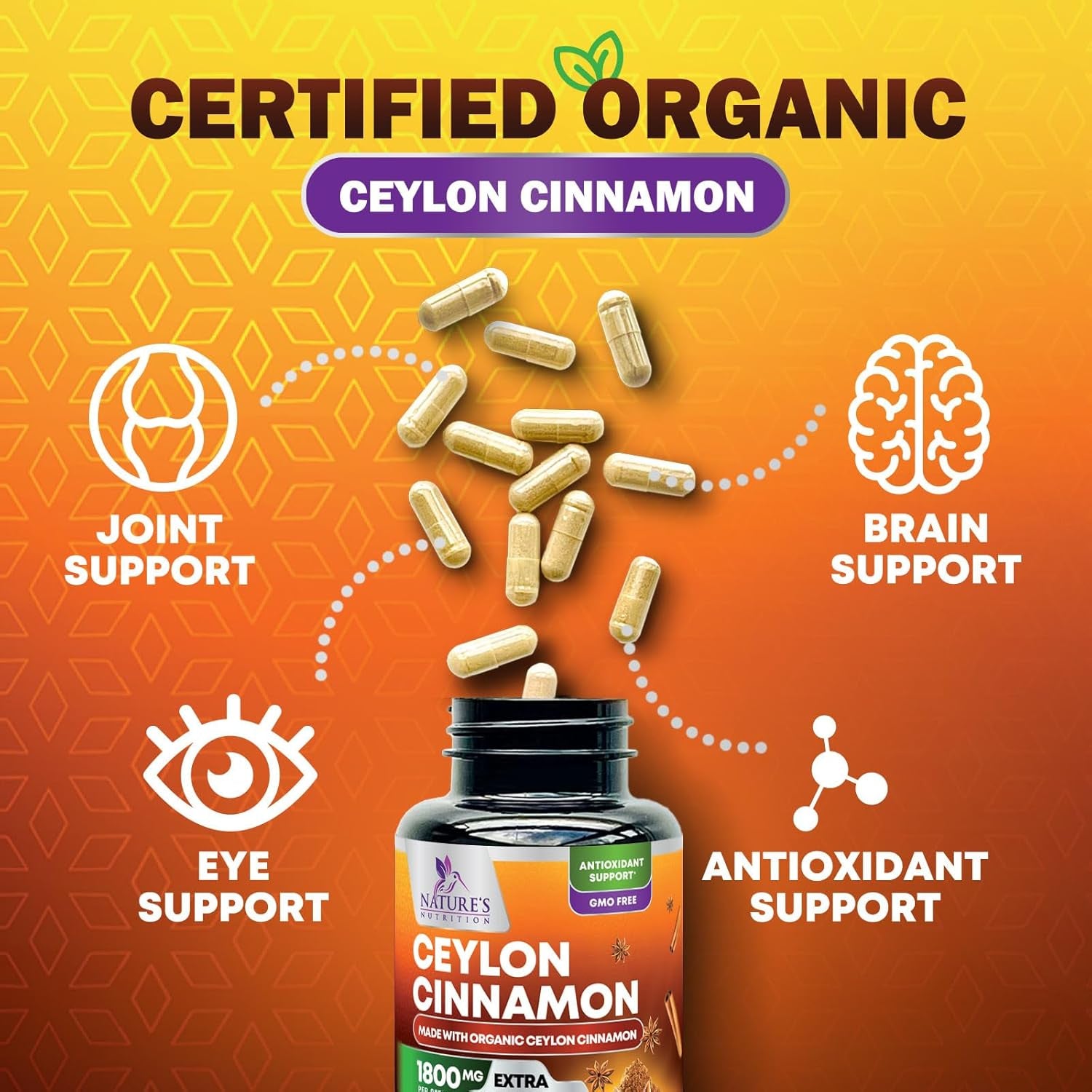 Organic Ceylon Cinnamon Supplement 1800Mg - Certified Organic Ceylon Cinnamon Powder Pills - Energy & Heart Support for Women & Men, Bottled in USA, Antioxidant, Gluten Free, Non-Gmo - 240 Capsules TLBH