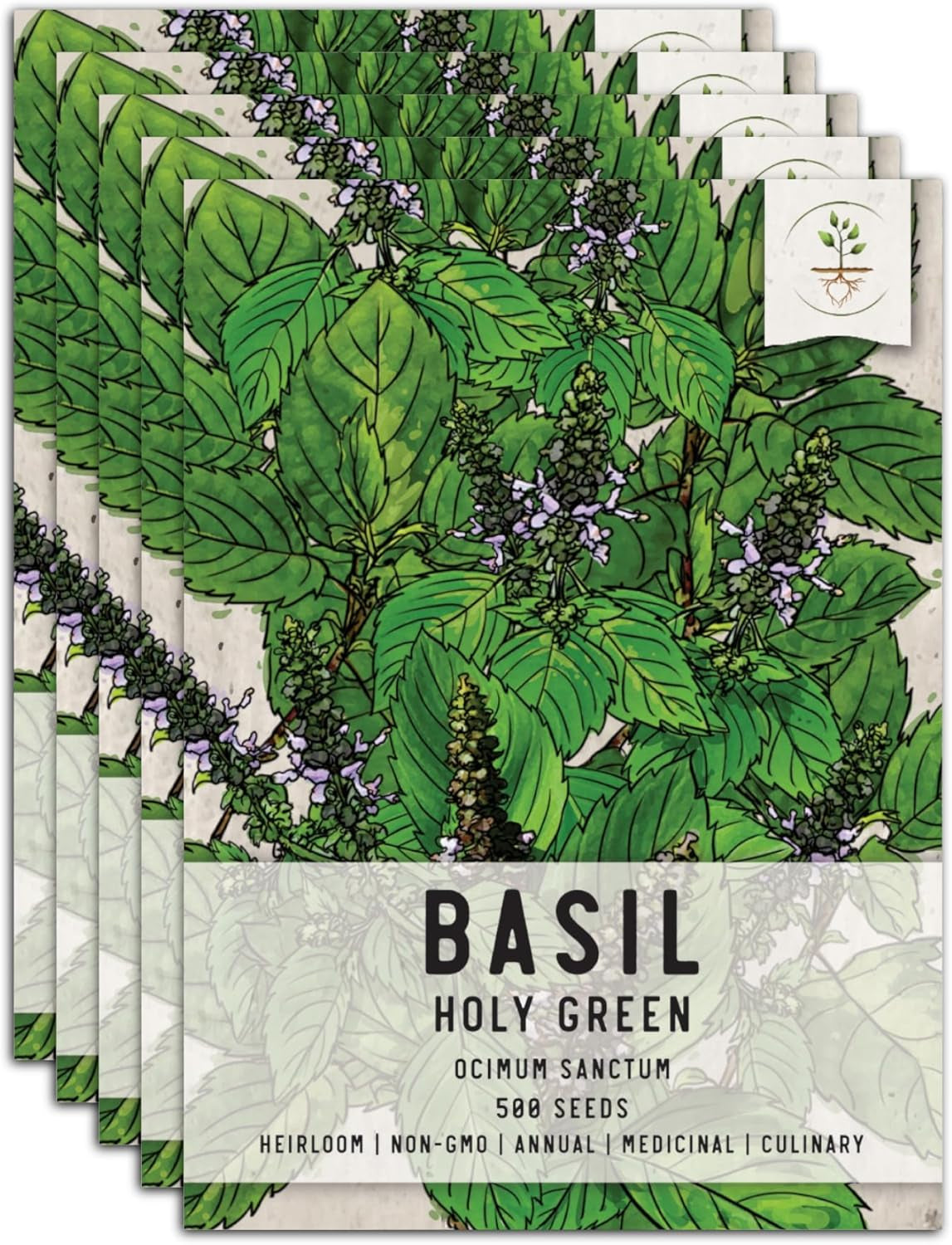 , Holy Basil Seeds - 500 Heirloom Seeds for Planting Ocimum Sanctum - Medicinal Tulsi Herb to Plant Indoors or Outdoors, Non-Gmo & Untreated (2 Packs) TLBH