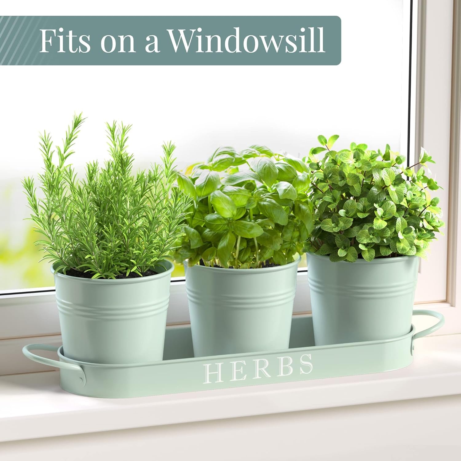 Indoor Herb Garden Planter Set with Tray, Metal Windowsill Plant Pots with Drainage for Outdoor or Indoor Plants, Set/3 (Soft Mint)