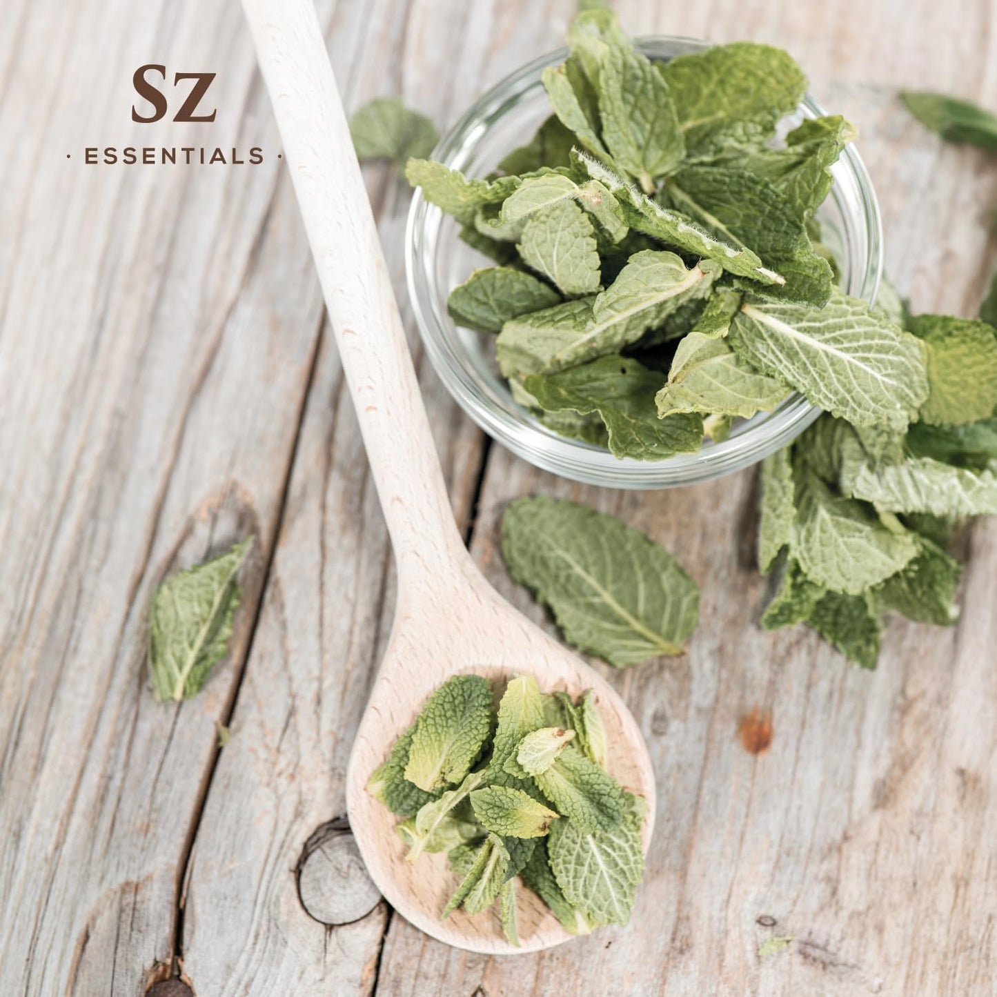 Peppermint Essential Oil - Sweet Candy Cane Scent! the Real Deal - 100% Pure and Natural - Undiluted - 5Ml TLBH