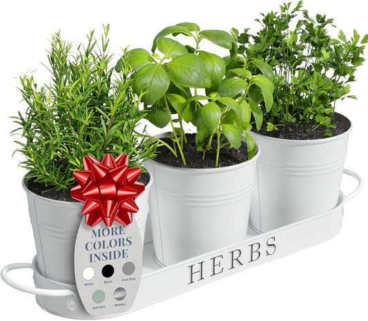 Indoor Herb Garden Planter Set with Tray, Metal Windowsill Plant Pots with Drainage for Outdoor or Indoor Plants, Set/3 (White)