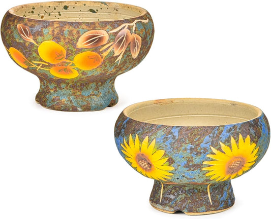 Small Succulent Planters Set of 2, Beautiful Hand Crafted Ceramic Plant Pots Cute Cactus Pot, 6.5 Inch Flower Pots for Indoor Plants with Drainage, Desktop Windowsill Home Office Decor Pots