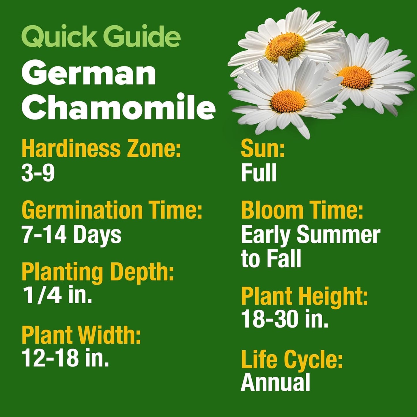 German Chamomile Seed Pack - 2280 Heirloom Chamomile Seeds for Planting Non-Gmo Herb Seeds for Creating a Sustainable Herb Garden for Medicinal Herbal Teas (Matricaria Chamomilla) TLBH