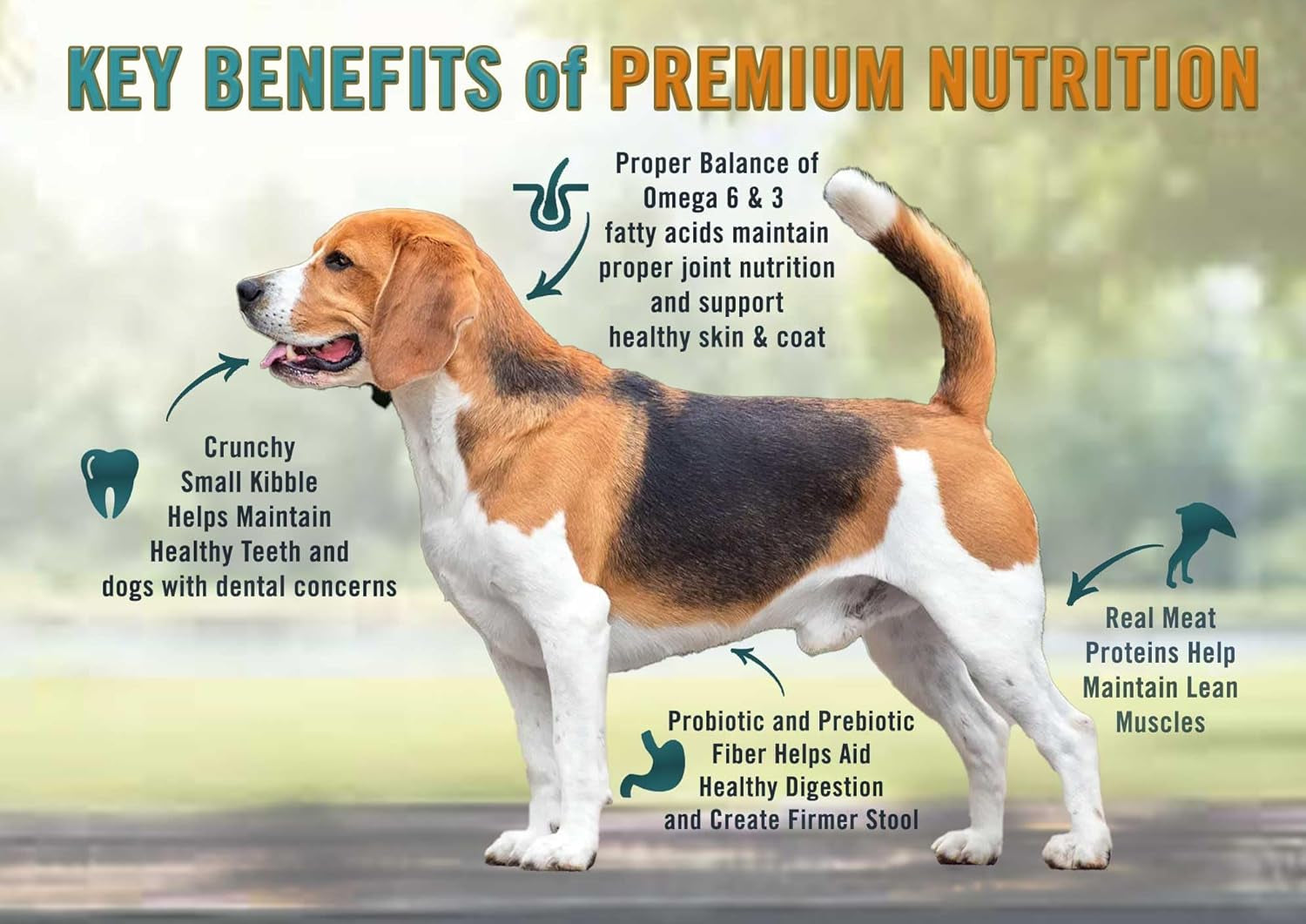 Classic Dry Small Bites Adult Dog Food, Chicken, Turkey & Brown Rice Recipe, 13.5 Pound Bag | Soy, Corn & Wheat Free, Small Breed Dog Food Made with Real Ingredients