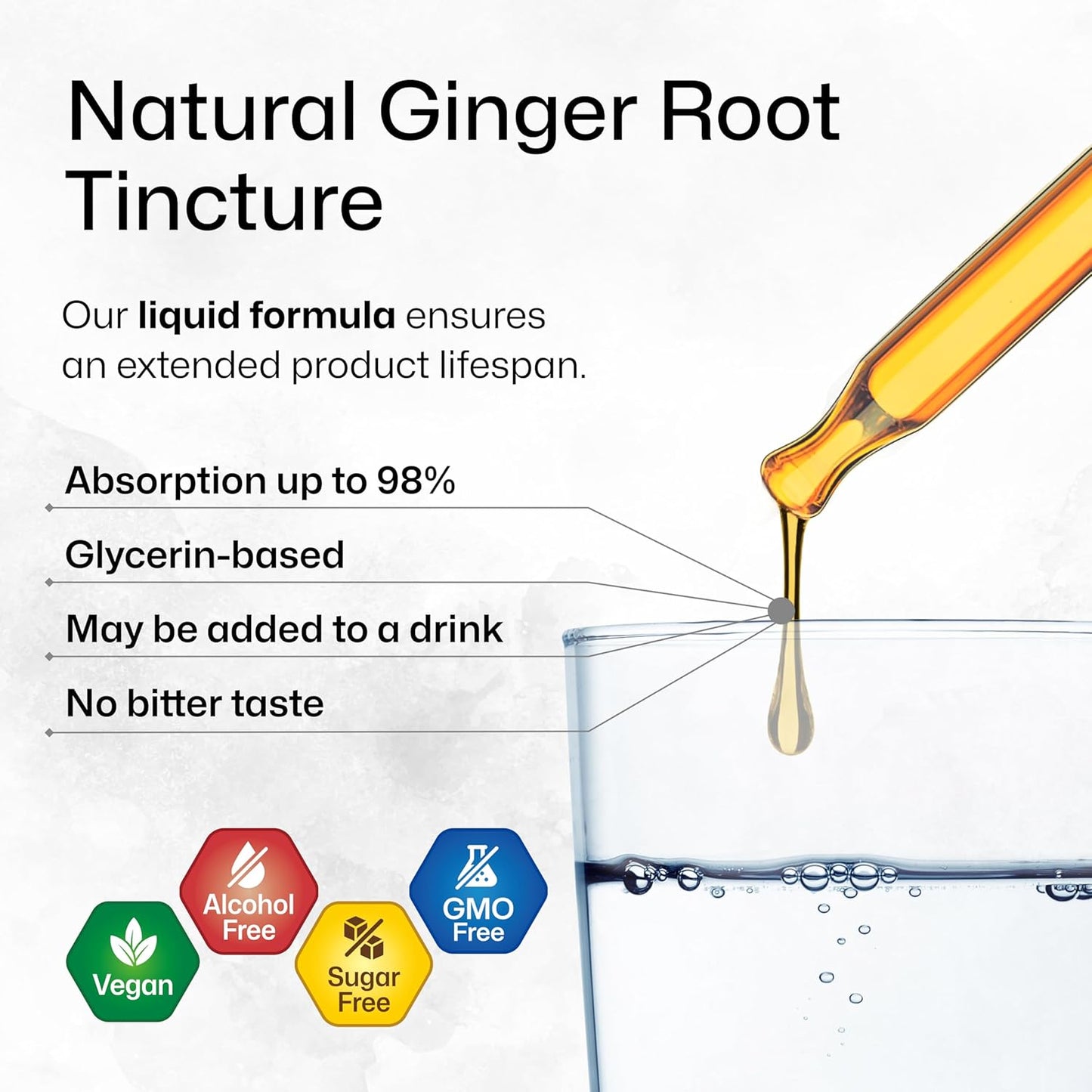 Ginger Root Extract - Natural Ginger Supplements for Overall Wellness - Alcohol and Sugar Free - Vegan Drops 2 Fl.Oz. TLBH