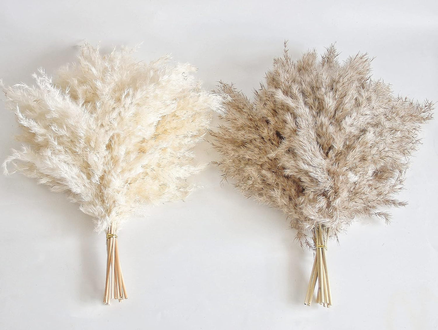 30 PCS Boho Decor, Fluffy Pompas Grass, Natural Dry Pampas Grass Small, Short Pampass Bulk for Boho Room Decor, Coffee Table Decor (17 Inch )