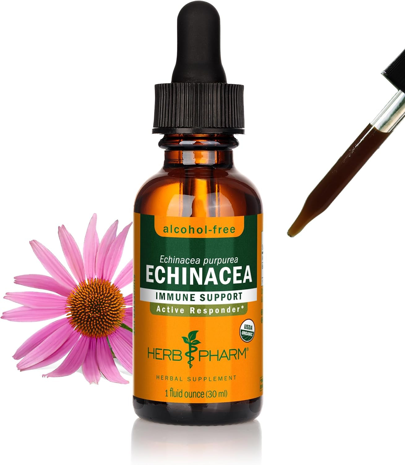 Organic Echinacea Root Extract, Alcohol-Free: Immune System Support for All Seasons, Fast-Acting Echinacea Plant Supplement, Non-Gmo, Vegan & Gluten-Free, 1 Oz TLBH