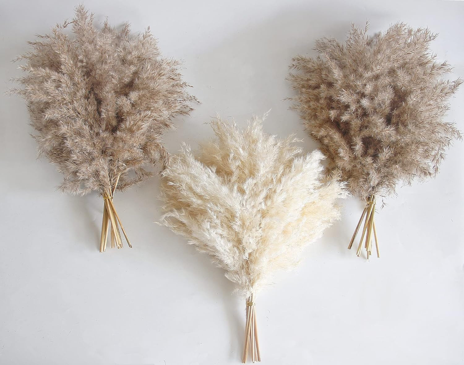 30 PCS Boho Decor, Fluffy Pompas Grass, Natural Dry Pampas Grass Small, Short Pampass Bulk for Boho Room Decor, Coffee Table Decor (17 Inch )