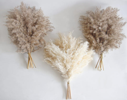 30 PCS Boho Decor, Fluffy Pompas Grass, Natural Dry Pampas Grass Small, Short Pampass Bulk for Boho Room Decor, Coffee Table Decor (17 Inch )