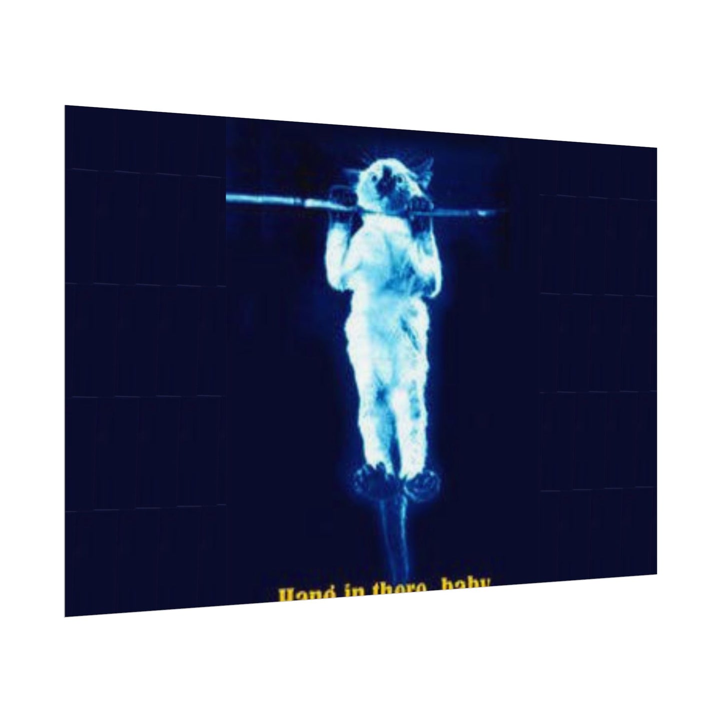 Rolled Posters - RANDY'S Hang in there Baby Wall Decor