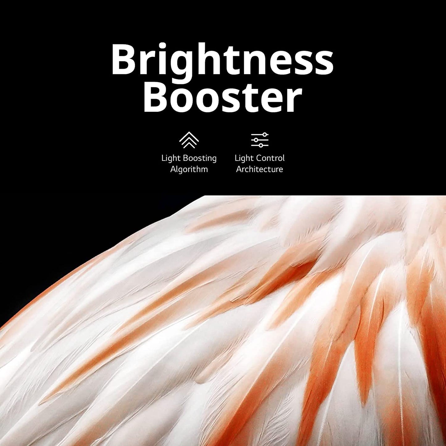 C3 Series 65-Inch Class OLED Evo 4K Processor Smart Flat Screen TV for Gaming with Magic Remote Ai-Powered OLED65C3PUA, 2023 with Alexa Built-In