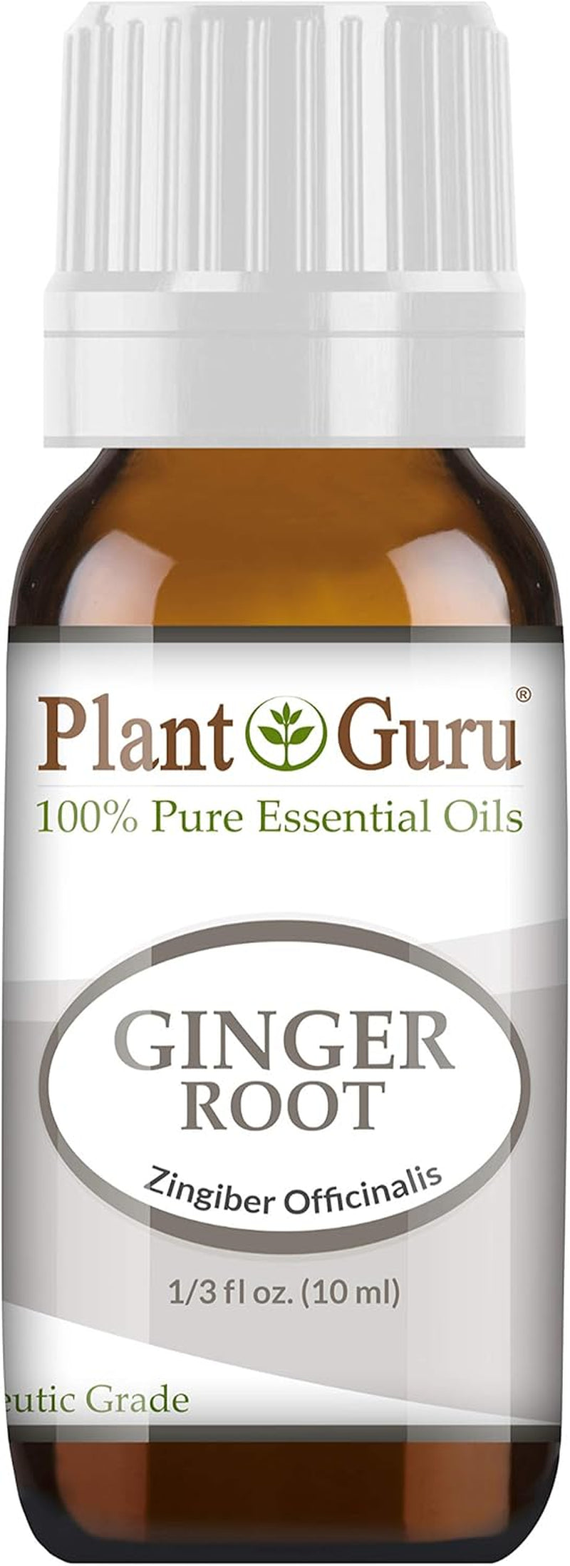 Fresh Ginger (Root) Essential Oil 10 Ml 100% Pure Undiluted Therapeutic Grade for Skin, Body and Hair Growth. Perfect for DYI Soap Making and Aromatherapy Diffuser. TLBH