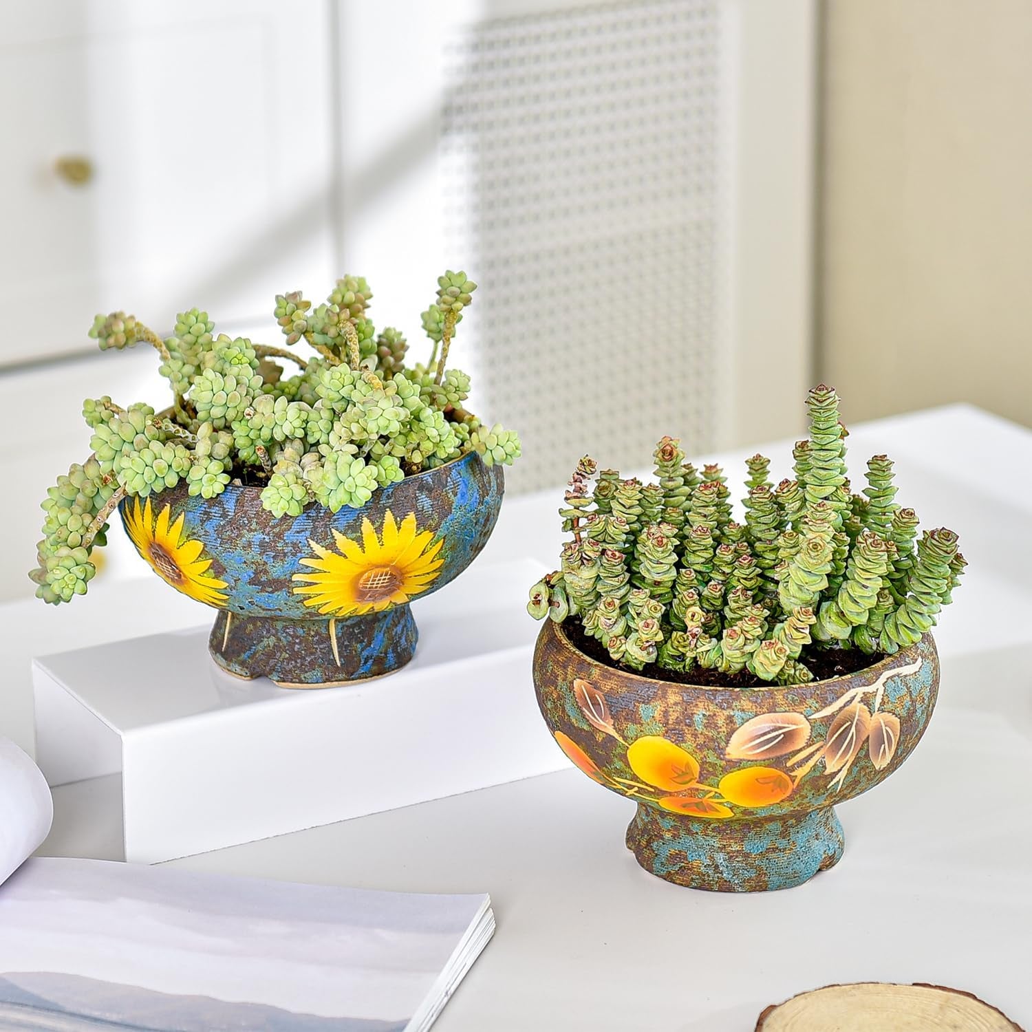 Small Succulent Planters Set of 2, Beautiful Hand Crafted Ceramic Plant Pots Cute Cactus Pot, 6.5 Inch Flower Pots for Indoor Plants with Drainage, Desktop Windowsill Home Office Decor Pots