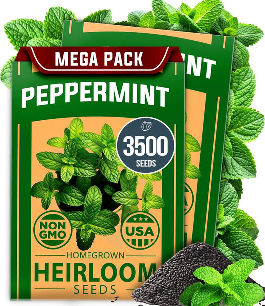 Peppermint Seeds 2 Pack (Mentha × Piperita) – 4,740 Non-Gmo, Heirloom Mint Seeds for Planting. Grow Peppermint Plants in Your Kitchen Garden or Plant Them Outdoors for a Lush Herb Garden. TLBH