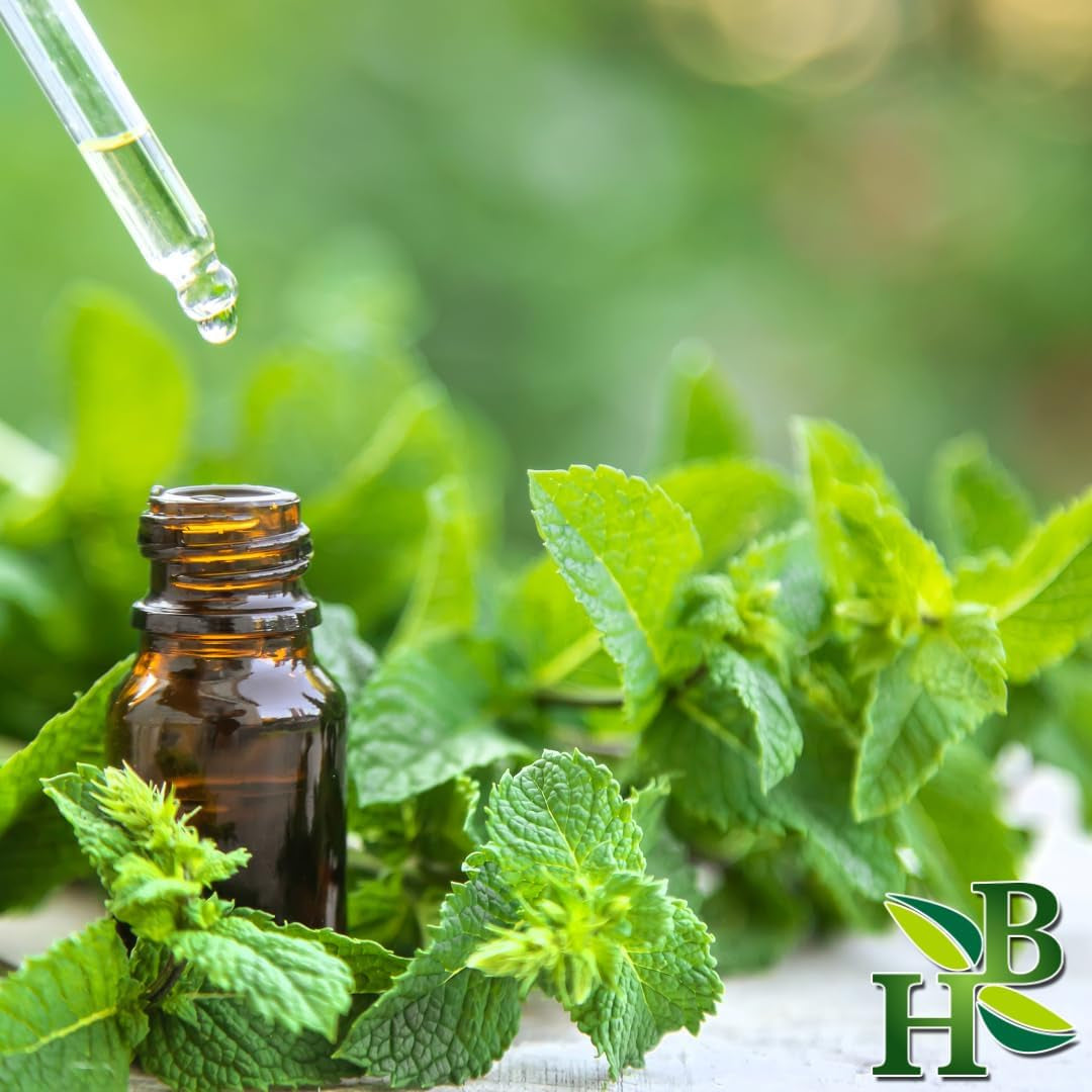 Peppermint Leaf C/S (Cut & Sifted) | Mentha Piperita | Wildcrafted | 4Oz TLBH