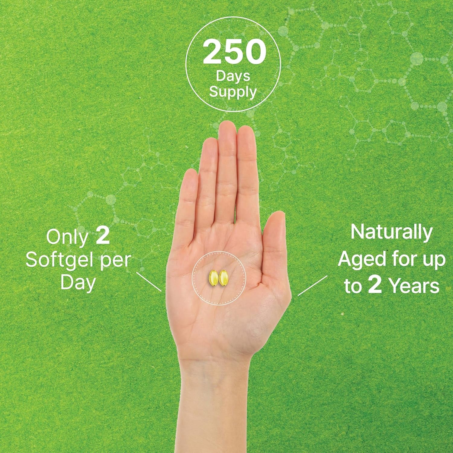 Odorless Aged Garlic Pills, 6,000Mg per Serving, 500 Softgels – 24:1 Garlic Oil Extract – Fresh Allium Sativum Bulb Source – Heart & Immune Antioxidant Supplements – Non-Gmo TLBH