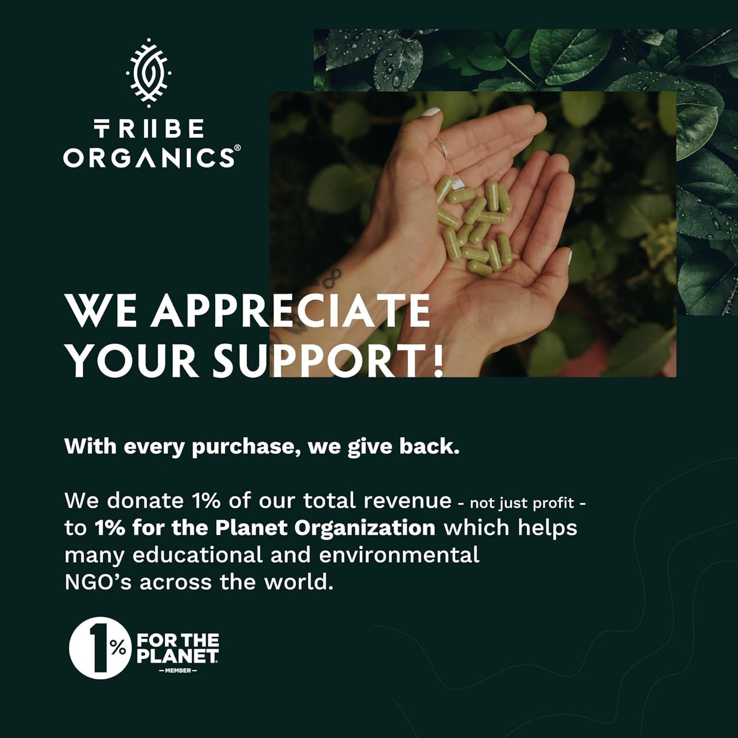 Ashwagandha KSM 66 Pure Organic Root Powder Extract Ayurvedic Supplement - Focus Mood Support Increase Energy Strength 600Mg of Natural KSM66 for Superior Absorption - 90 Capsules TLBH