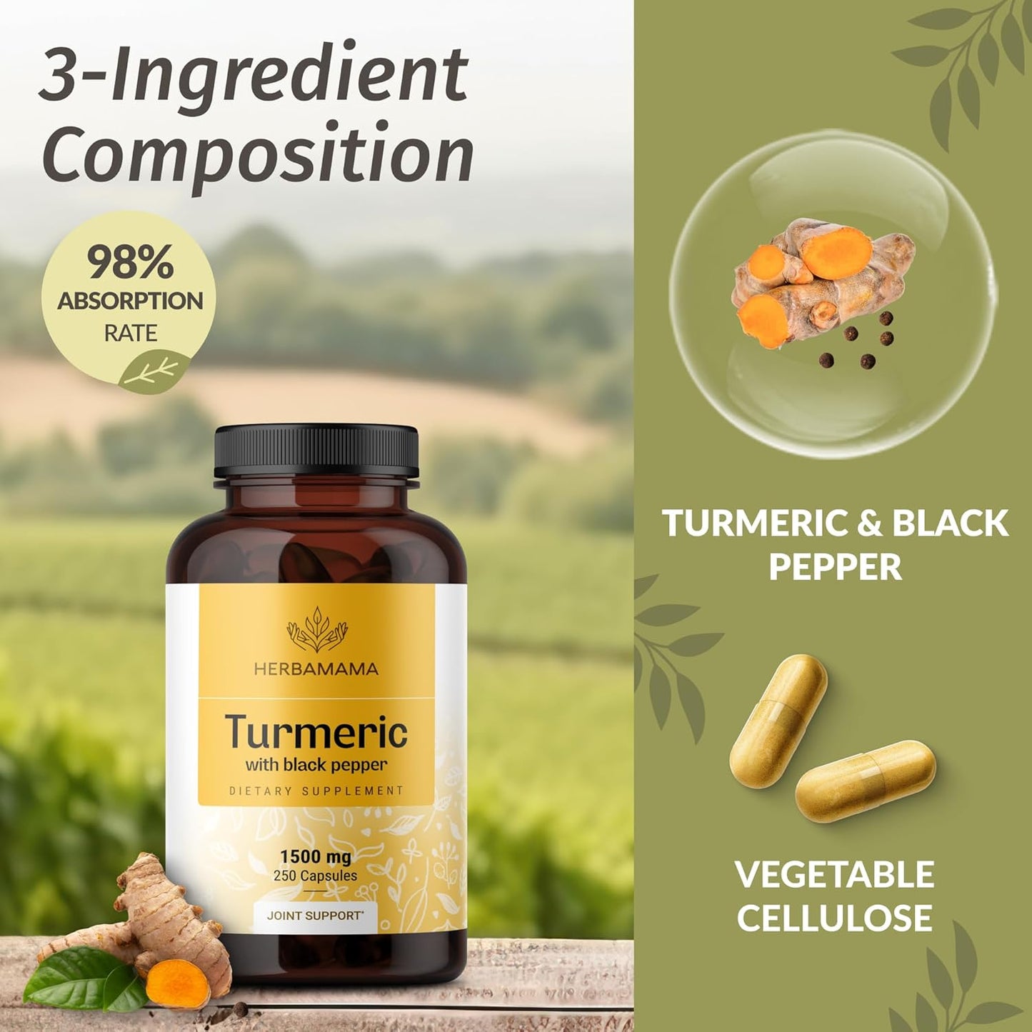 Curcumin Turmeric Capsules - 1500Mg Curcuma Longa and Black Pepper Extract for Uric Acid & Digestive Support - Vegan, Non-Gmo Turmeric Antioxidant Supplement, 250 Caps TLBH