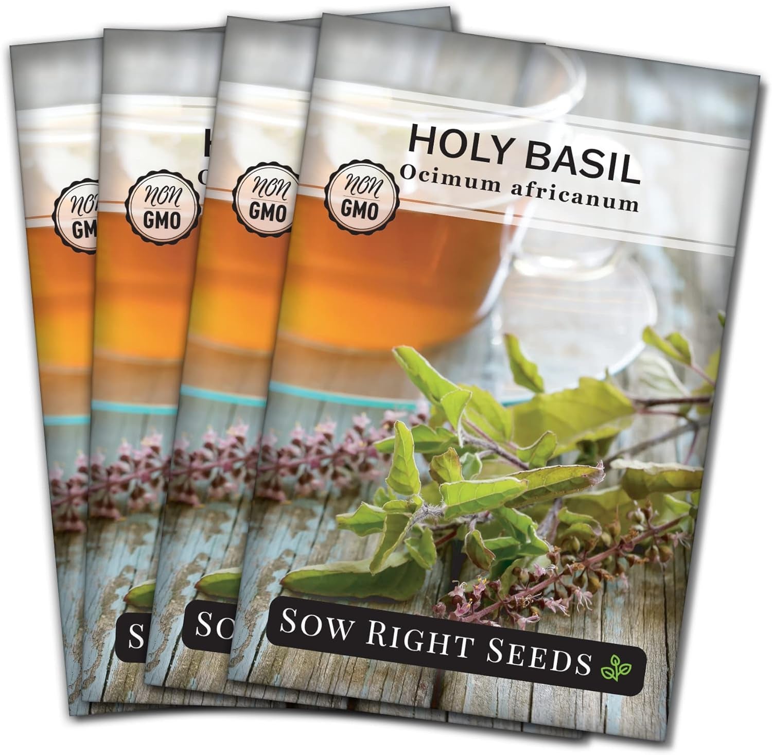 - Holy Basil Tulsi Seed for Planting - Culinary Herb to Plant in Your Garden - Indoors or Outdoors - Ayurvedic Medicine and Tea - Non-Gmo Heirloom Seeds - Great Gardening Gift (1) TLBH