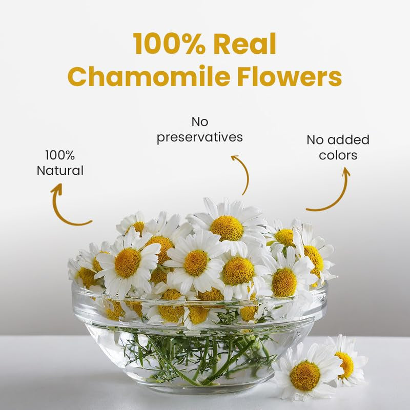 - Chamomile Tea - 1.05 Oz - 30+ Cups - Loose | SLEEP TEA | Herbal Tea - Caffeine Free - Flower Based - Vegan - Non-Bitter- Non-Gmo - Natural Ingredients | Pet Jar Packaging TLBH
