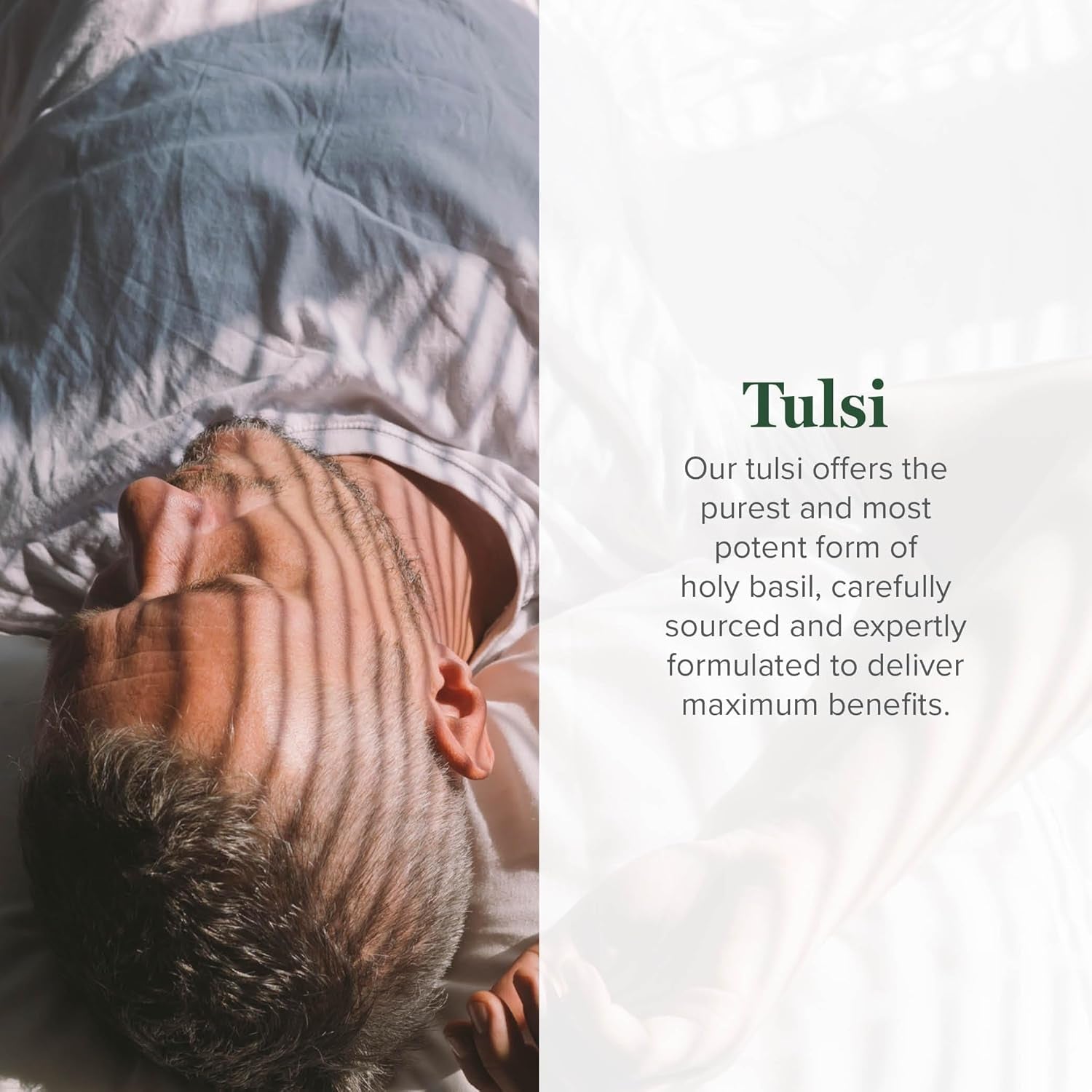 - Organic Tulsi (Holy Basil Leaf Extract) Vegan Liquid Supplement Drops (Organic Basil) - Bioavailable Herb for Normal Stress Response, Natural Energy & Immune Support TLBH
