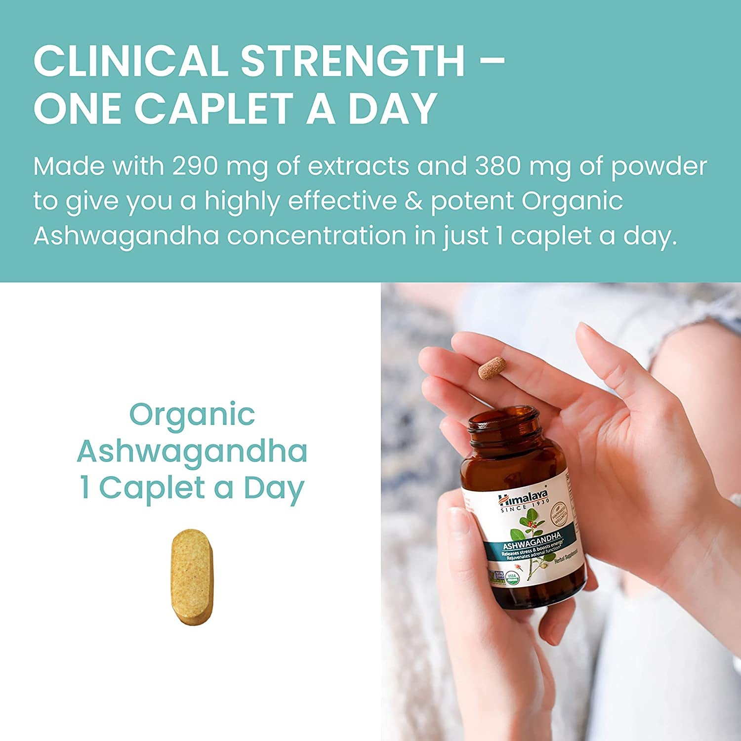 Organic Ashwagandha, 60 Day Supply, Herbal Supplement for Stress Relief, Energy Support, Occasional Sleeplessness, Organic, Non-Gmo, Vegan, Gluten Free, 670 Mg, 60 Caplets TLBH