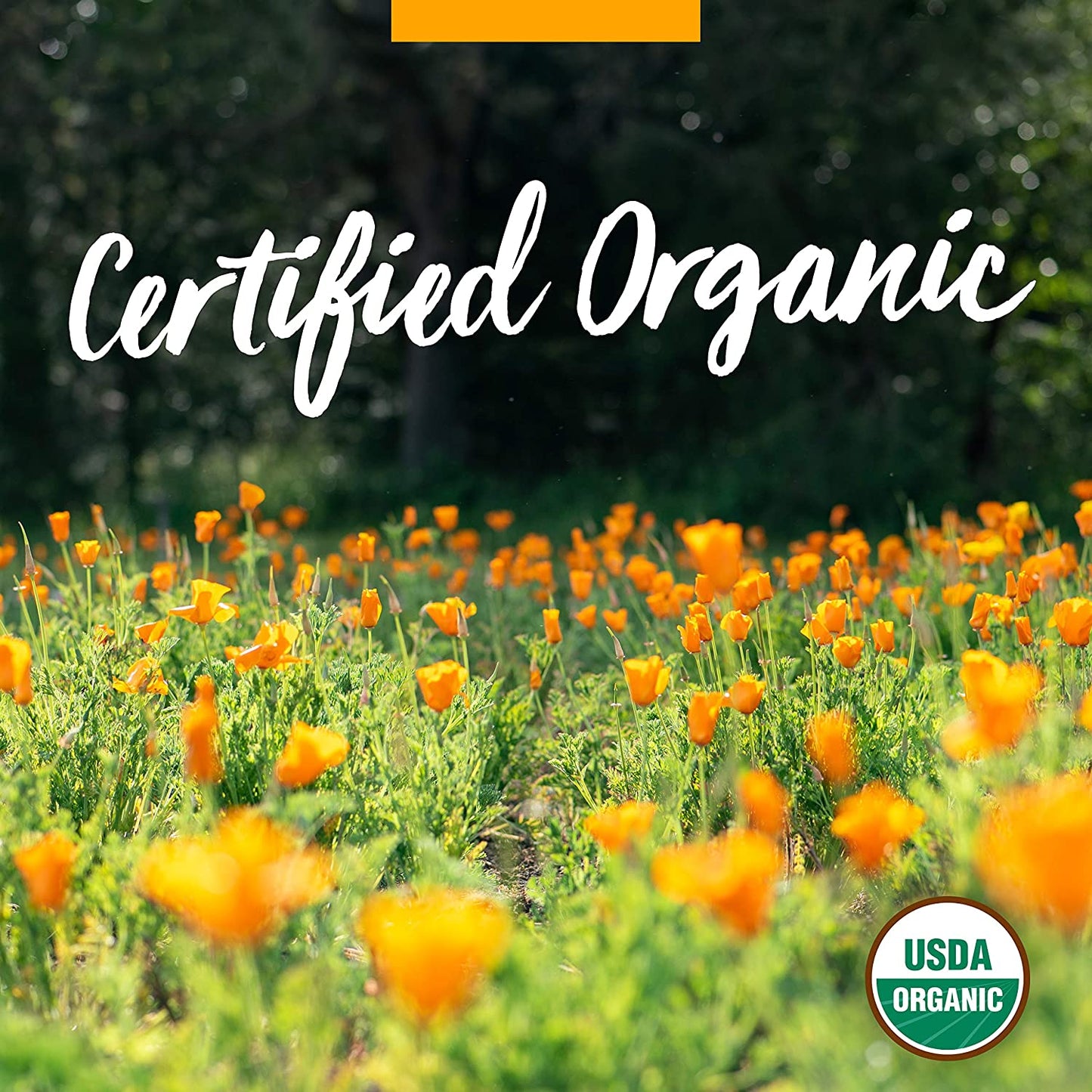 Certified Organic Super Echinacea Liquid Extract for Active Immune System Support - 4 Oz TLBH