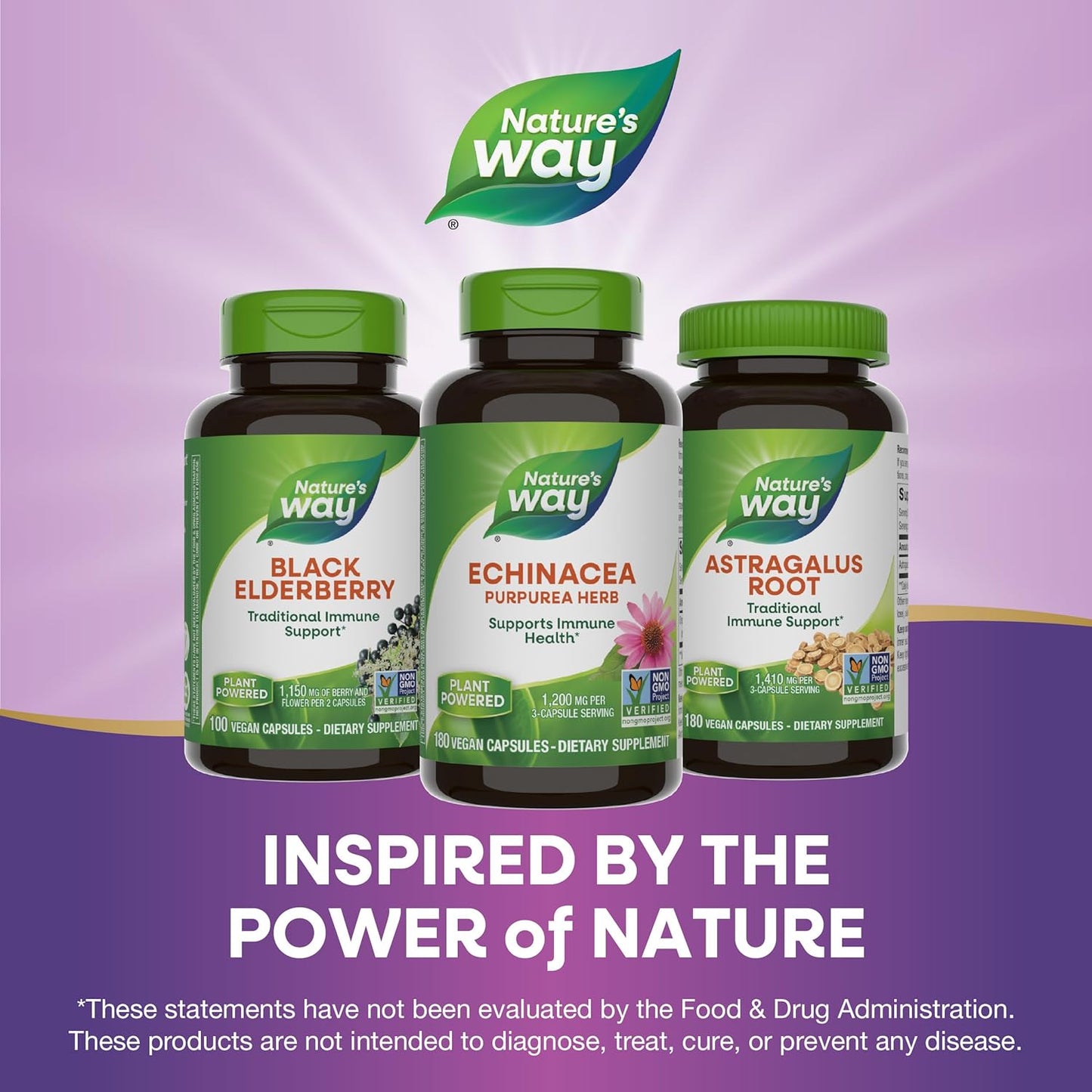 Echinacea Purpurea Herb, Immune Support*, 1,200 Mg per 3- Capsule Serving, Non-Gmo Project Verified, Vegan, 180 Capsules (Packaging May Vary) TLBH