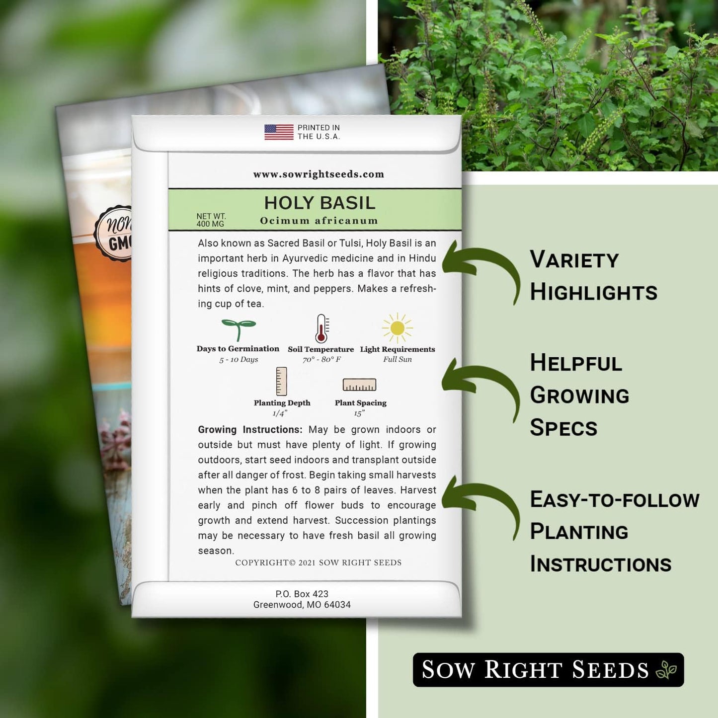 - Holy Basil Tulsi Seed for Planting - Culinary Herb to Plant in Your Garden - Indoors or Outdoors - Ayurvedic Medicine and Tea - Non-Gmo Heirloom Seeds - Great Gardening Gift (1) TLBH