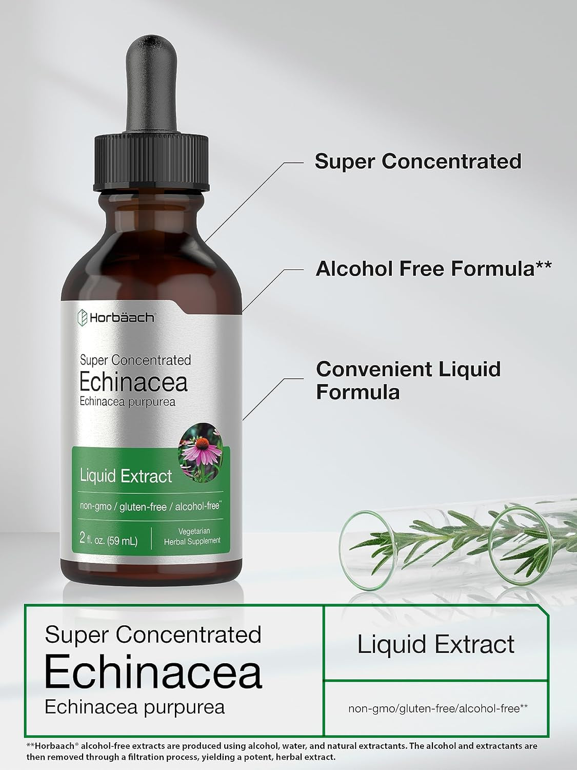 Echinacea Drops Liquid Extract | 2 Fl Oz | Super Concentrated Tincture | Alcohol Free, Vegetarian, Non-Gmo, and Gluten Free TLBH