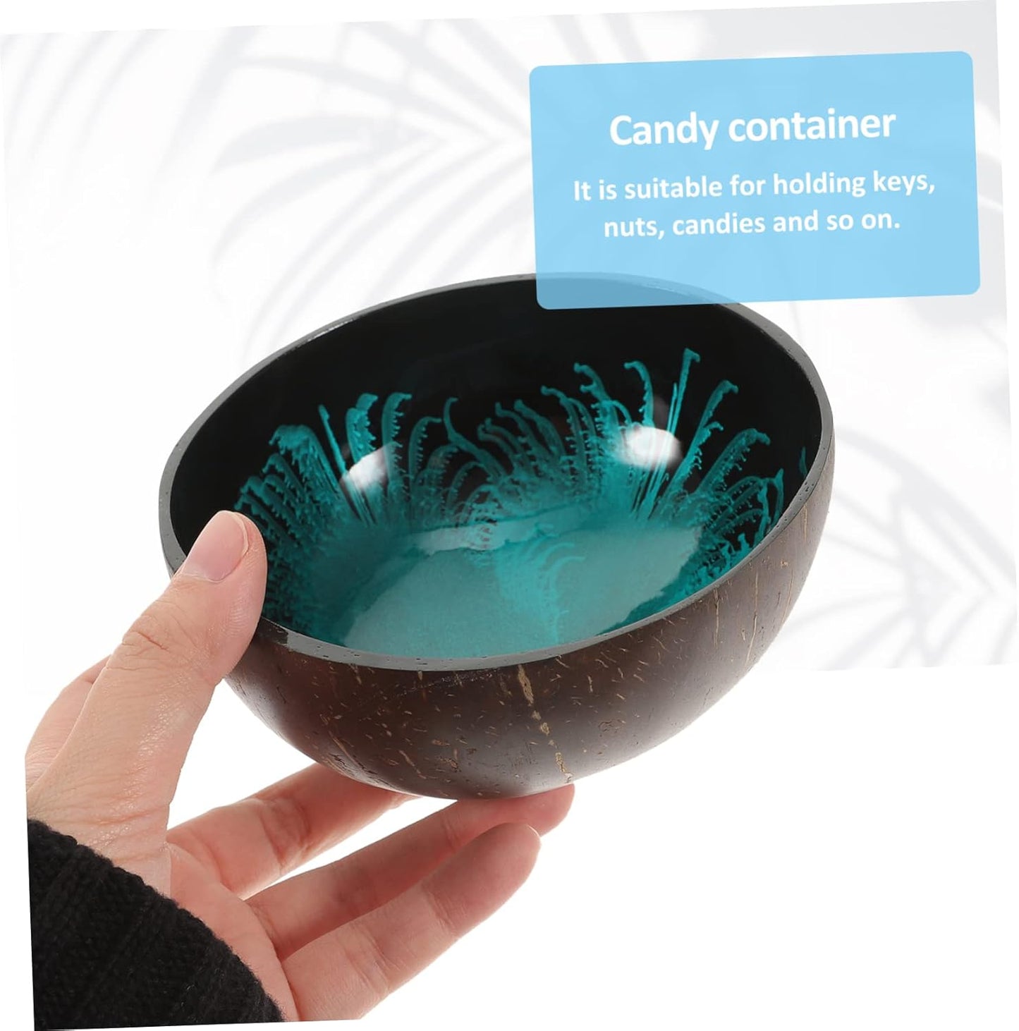 Offering Bowl Shell Key Holder Key Holder Bowl Coconut Storage Bowl Coconut Bowls Dessert Bowl Bowls for Food Desktop Organizer Wooden Soup Bowls Cute Snack Office Coconut Shell