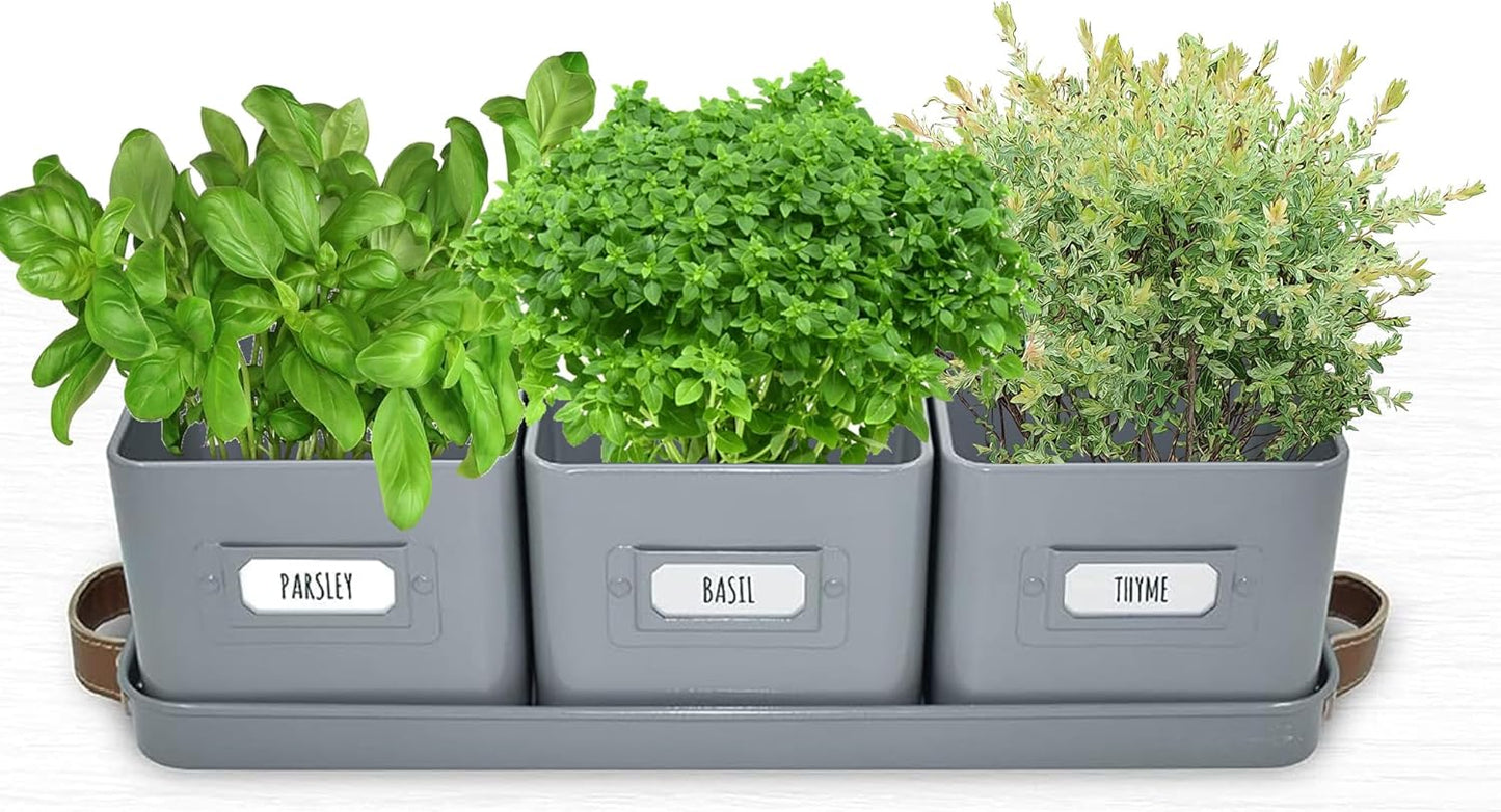Herb Planter Indoor - Set of 3 Grey Indoor Herb Garden Pots for Plants with Leather Handled Tray - Window Sill Plant Shelf - Herb Pots with Drainage Holes and Labels