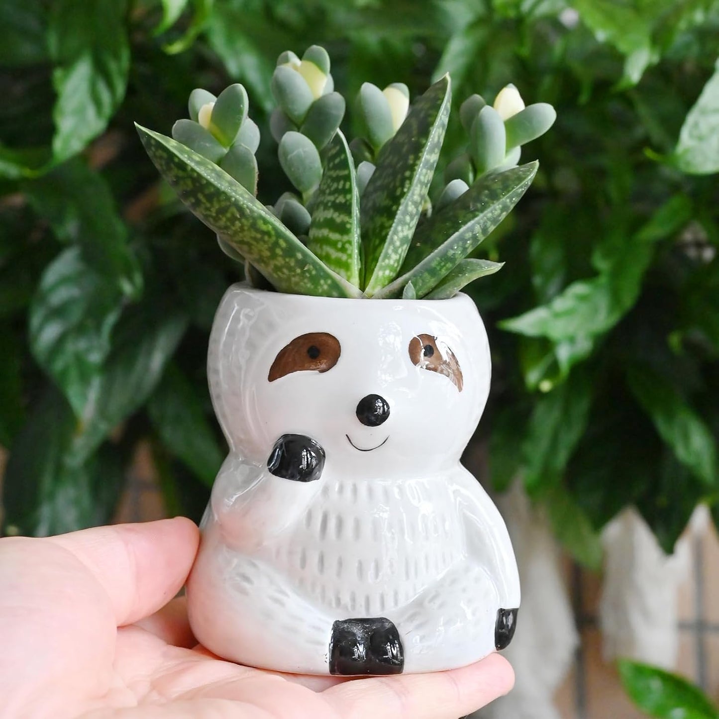 Cute Sloth Succulent Planter - Ceramic Cartoon Pot with Drainage Hole - Adorable Windowsill Decoration - Ideal for Cactus and Succulents