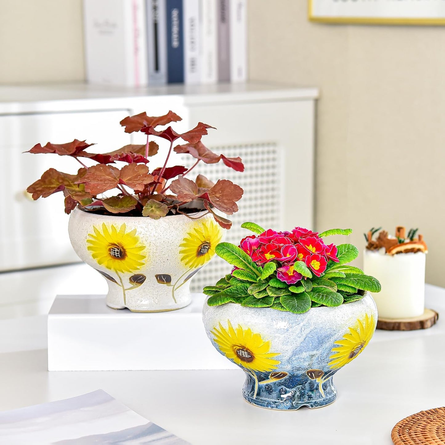 Small Succulent Planters Set of 2, Beautiful Hand Crafted Ceramic Plant Pots Cute Cactus Pot, 6.5 Inch Flower Pots for Indoor Plants with Drainage, Desktop Windowsill Home Office Decor Pots