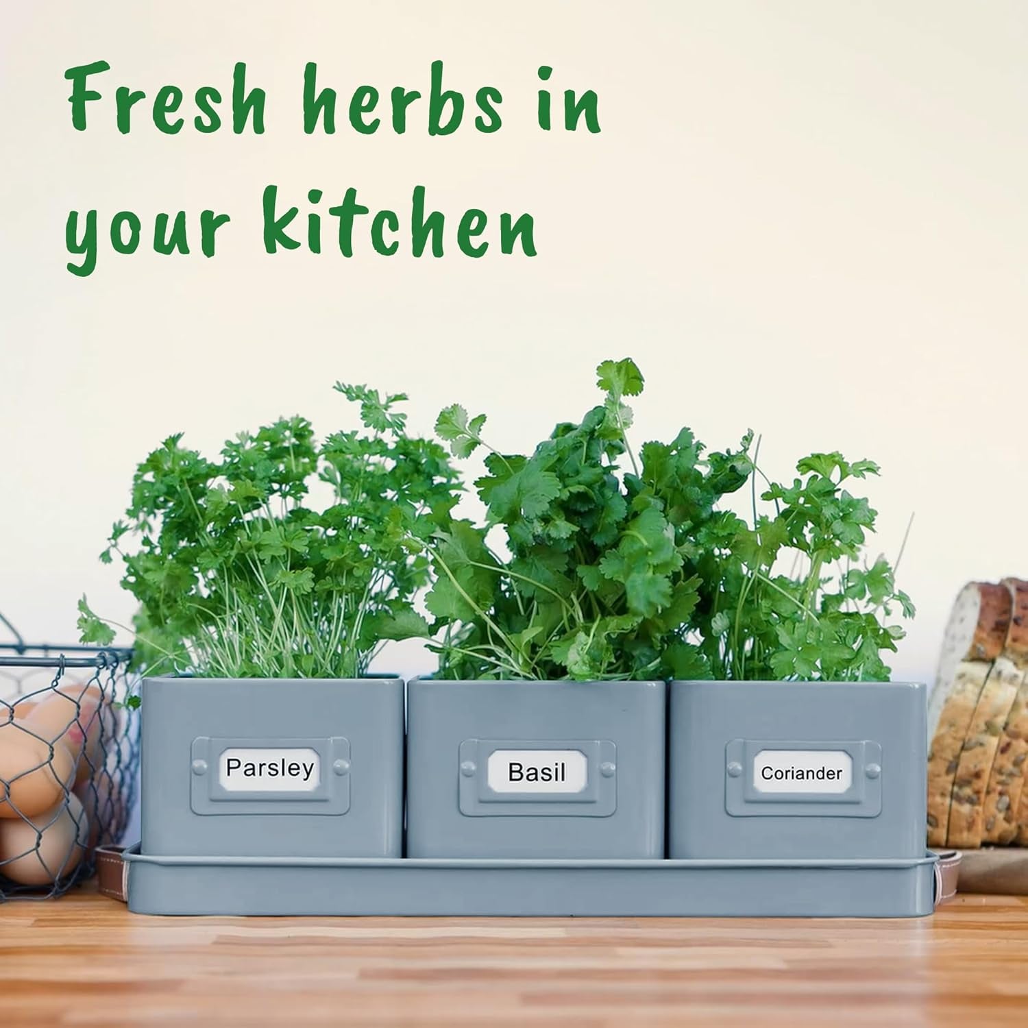 Herb Planter Indoor - Set of 3 Teal Blue Indoor Herb Garden Pots for Plants with Leather Handled Tray - Window Sill Plant Shelf - Herb Pots with Drainage Holes and Labels