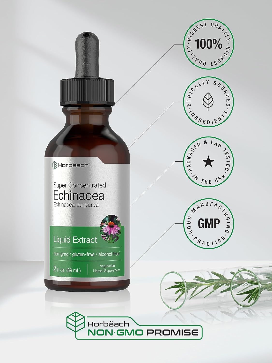 Echinacea Drops Liquid Extract | 2 Fl Oz | Super Concentrated Tincture | Alcohol Free, Vegetarian, Non-Gmo, and Gluten Free TLBH