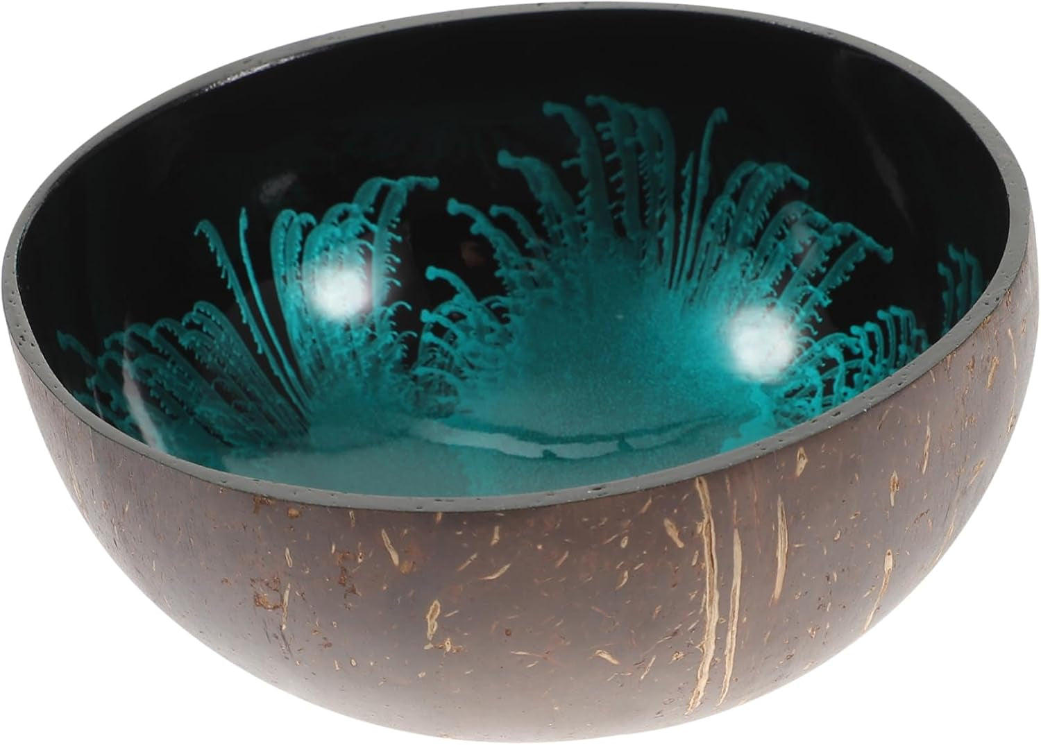 Offering Bowl Shell Key Holder Key Holder Bowl Coconut Storage Bowl Coconut Bowls Dessert Bowl Bowls for Food Desktop Organizer Wooden Soup Bowls Cute Snack Office Coconut Shell