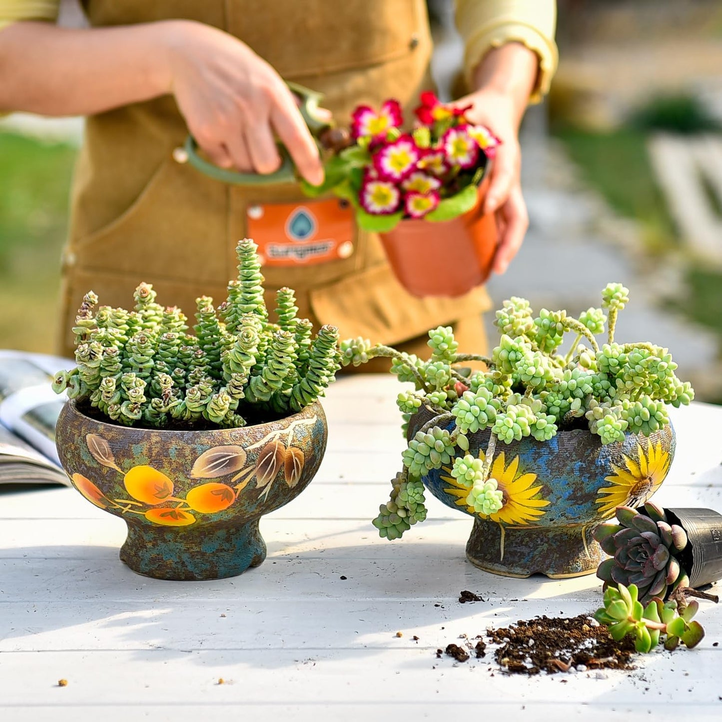 Small Succulent Planters Set of 2, Beautiful Hand Crafted Ceramic Plant Pots Cute Cactus Pot, 6.5 Inch Flower Pots for Indoor Plants with Drainage, Desktop Windowsill Home Office Decor Pots