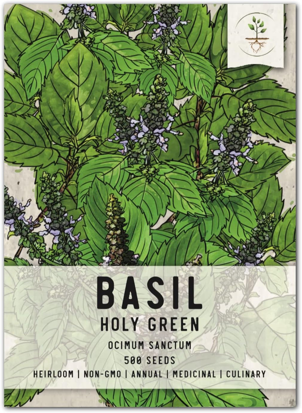 , Holy Basil Seeds - 500 Heirloom Seeds for Planting Ocimum Sanctum - Medicinal Tulsi Herb to Plant Indoors or Outdoors, Non-Gmo & Untreated (2 Packs) TLBH