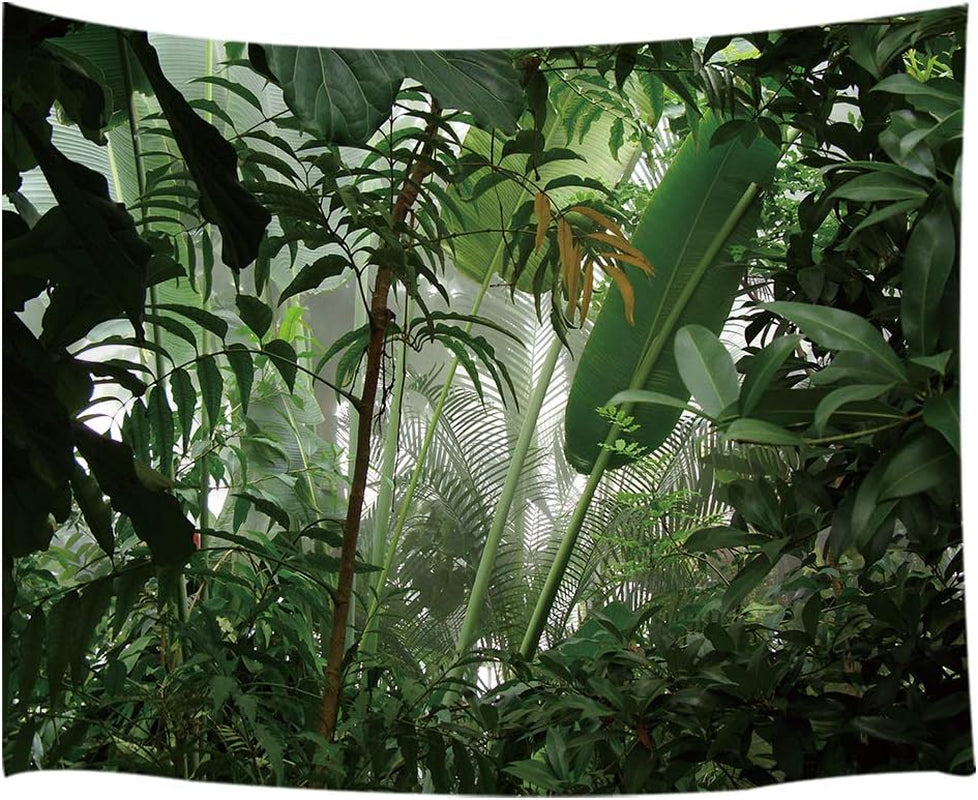 Green Plant Small Tapestry, Aesthetic Banana Palm Tree Leaves Tapestry Wall Hanging for Bedroom, Tropical Forest College Dorm Tapestry Home Decor (60" W X 40" H)