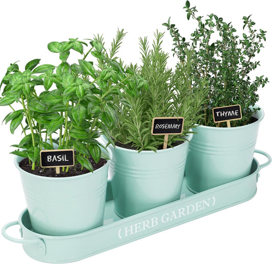 Indoor Herb Garden, Herb Garden Planter for Indoor/Outdoor, Farmhouse Plant Pots, Windowsill Herb Garden with Tray(Planter Only) Window Pots