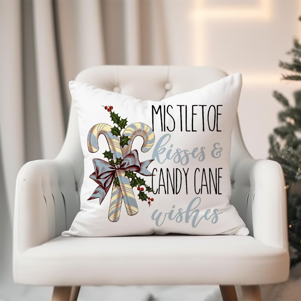 Christmas Decorations Pillow Covers 18×18 Set of 4 Snowflake Santa Snowman Merry Christmas Deer Bird Candy Cane Xmas Winter Holiday Throw Pillows Christmas Decor Cushion Cases Blue-18